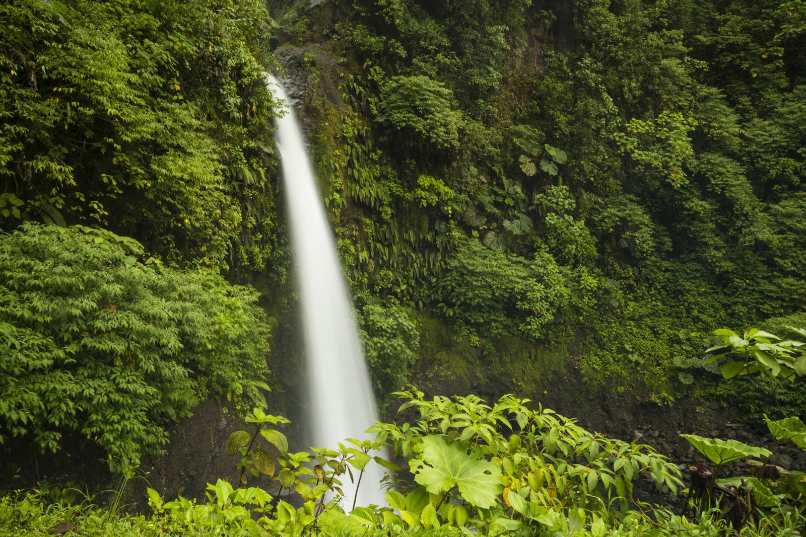 Costa Rica Eco Adventure Paradise scaled