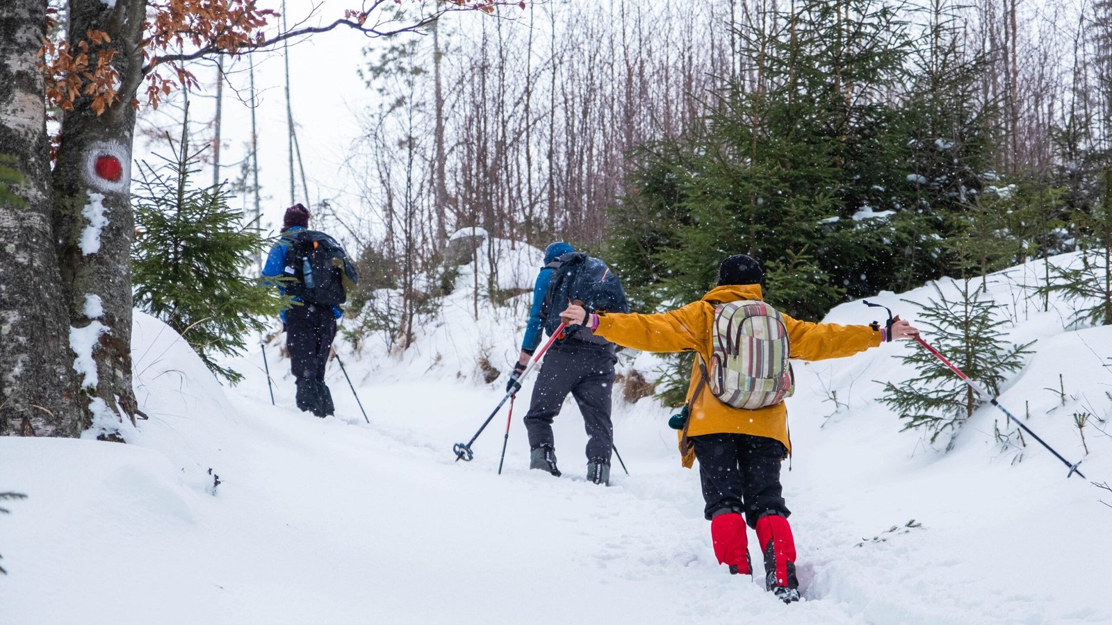 Things to Do in Tromso, Norway: A Winter Wonderland for Women Travellers Snowshoeing Cross Country Skiing Activities to Do in Tromso Norway scaled
