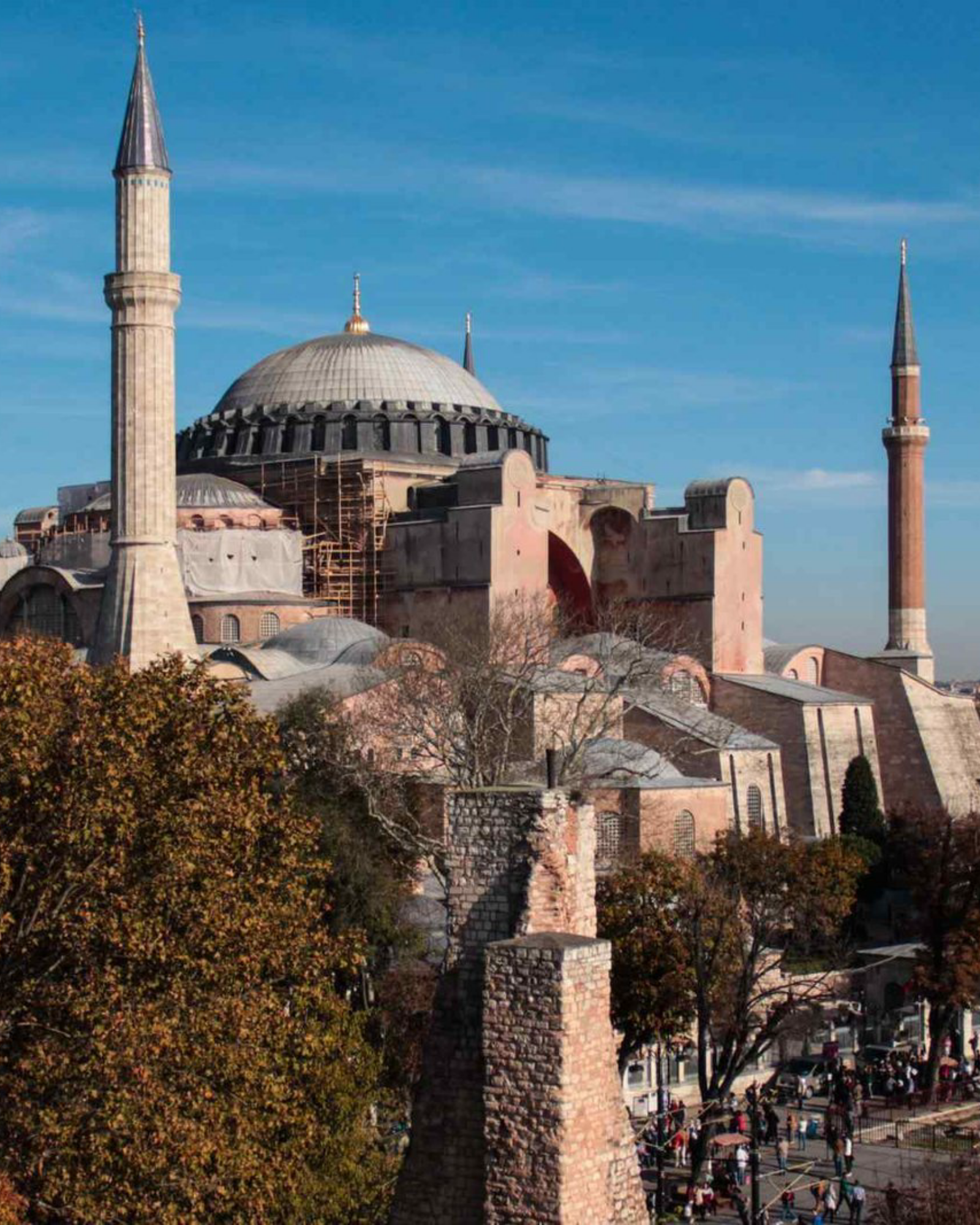 Turkey Landing Page Turkey