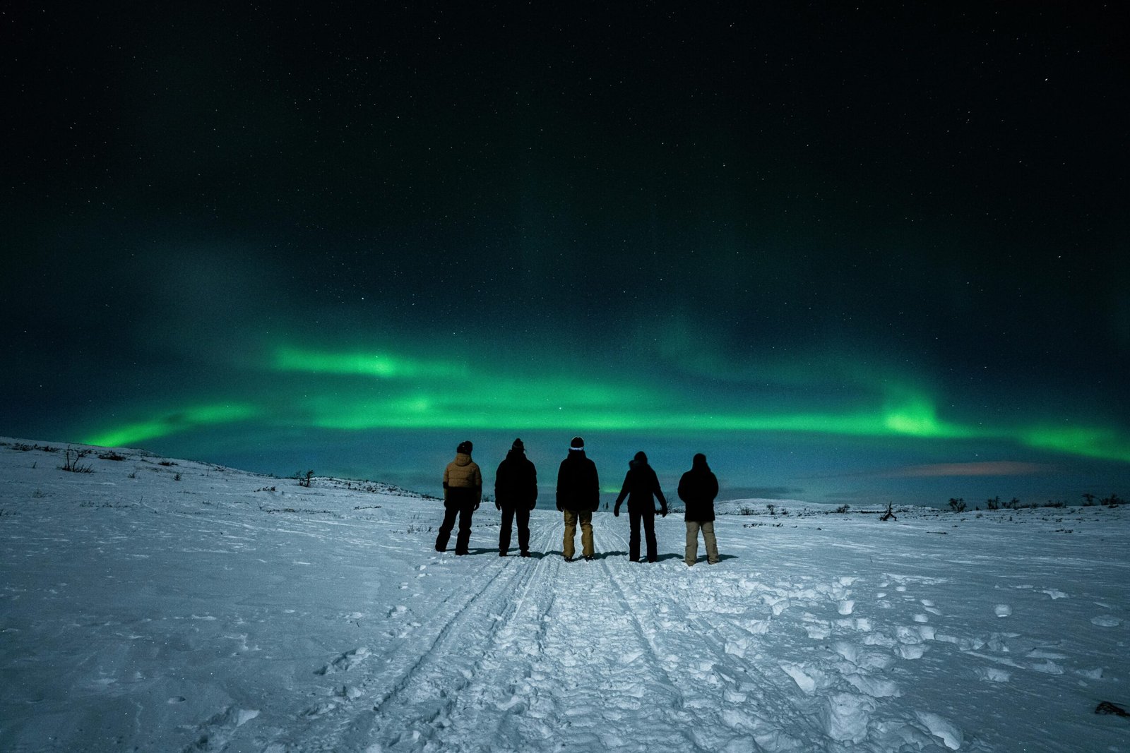 Antarctica Cruise Tips Choosing Your Experience scaled