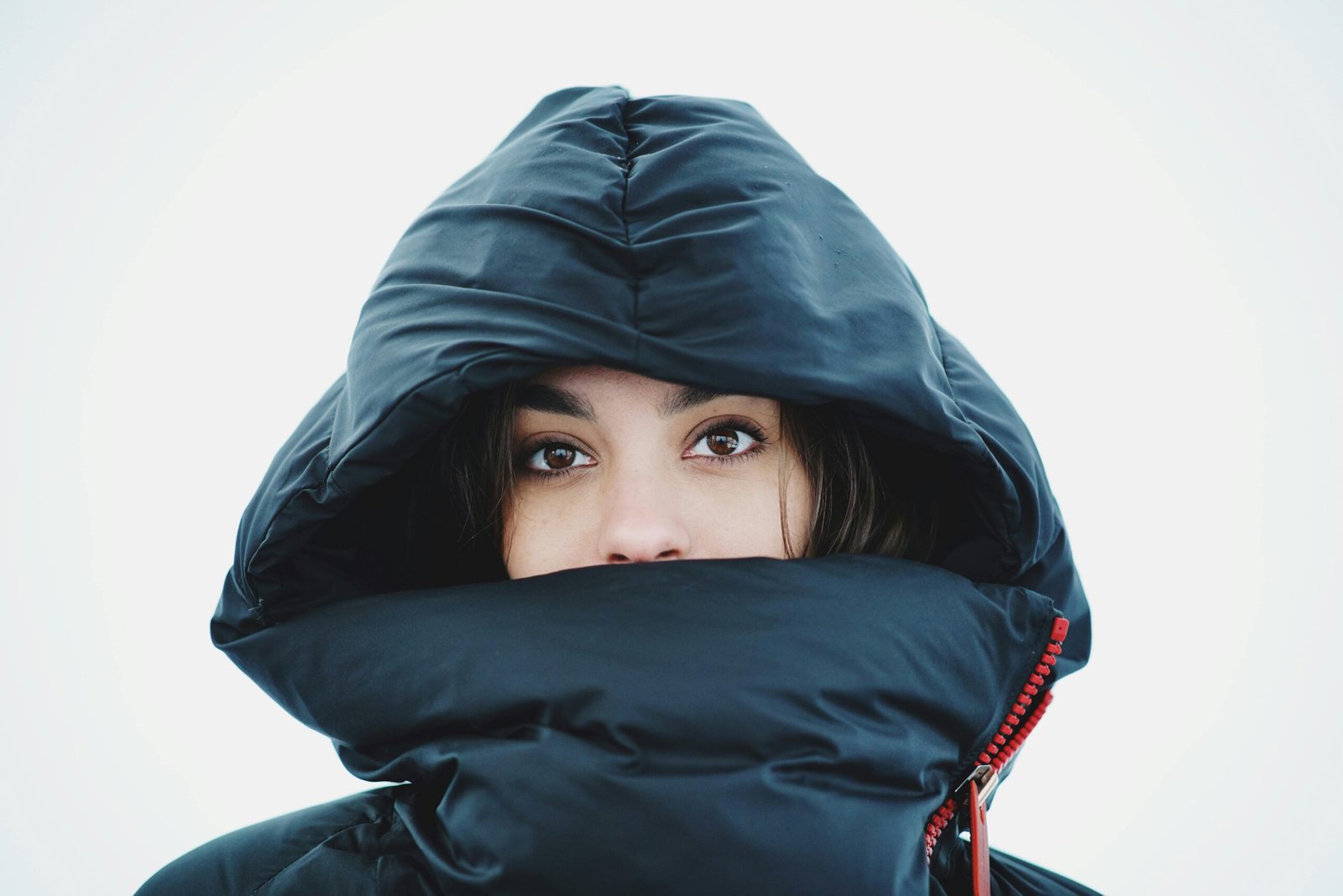 Travel Requirements for Antarctica Essential Documentation scaled