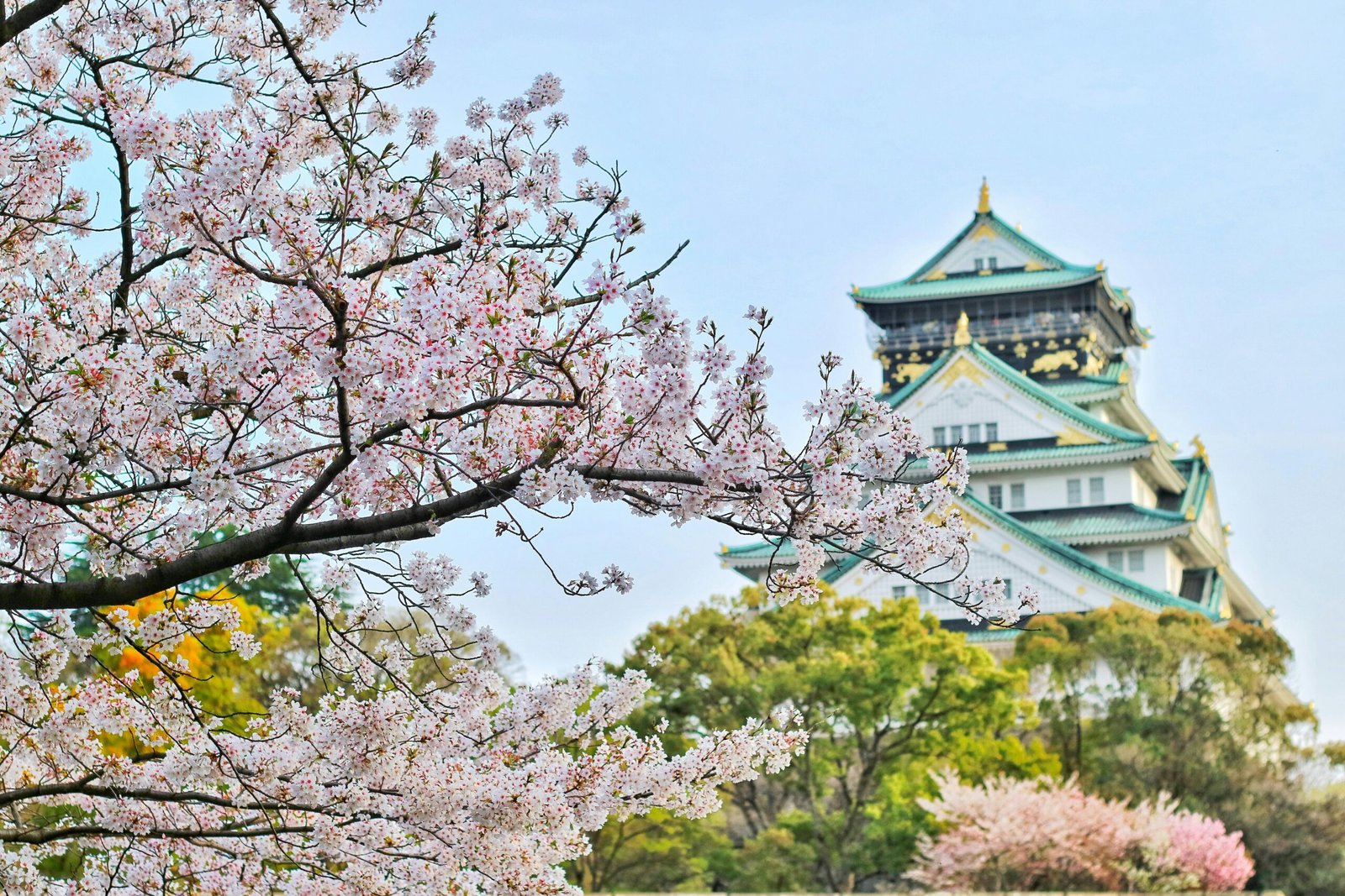 Best Solo Travel Places in Asia