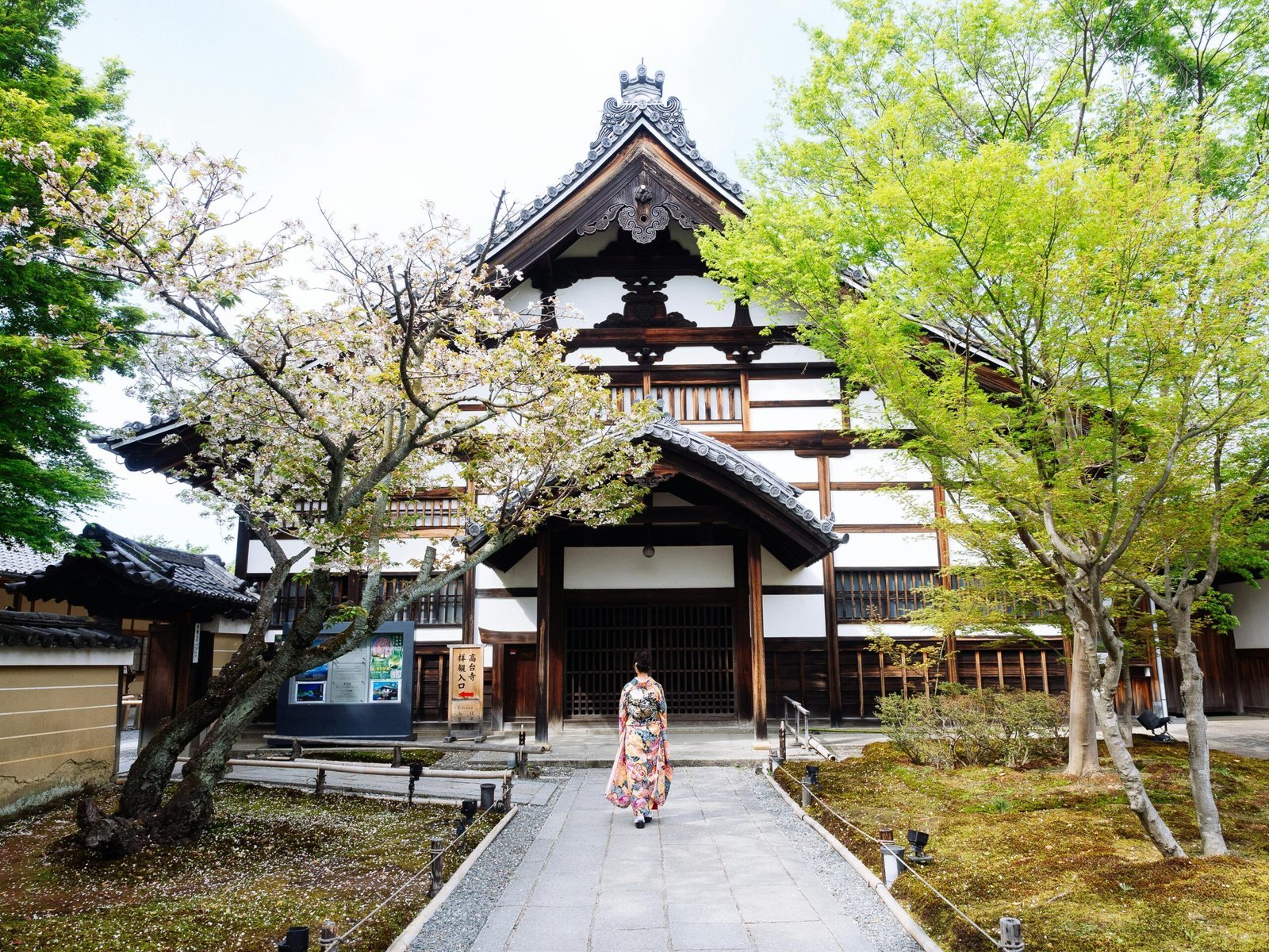 Japan Spring Tour for Women: The Ultimate Spring Getaway