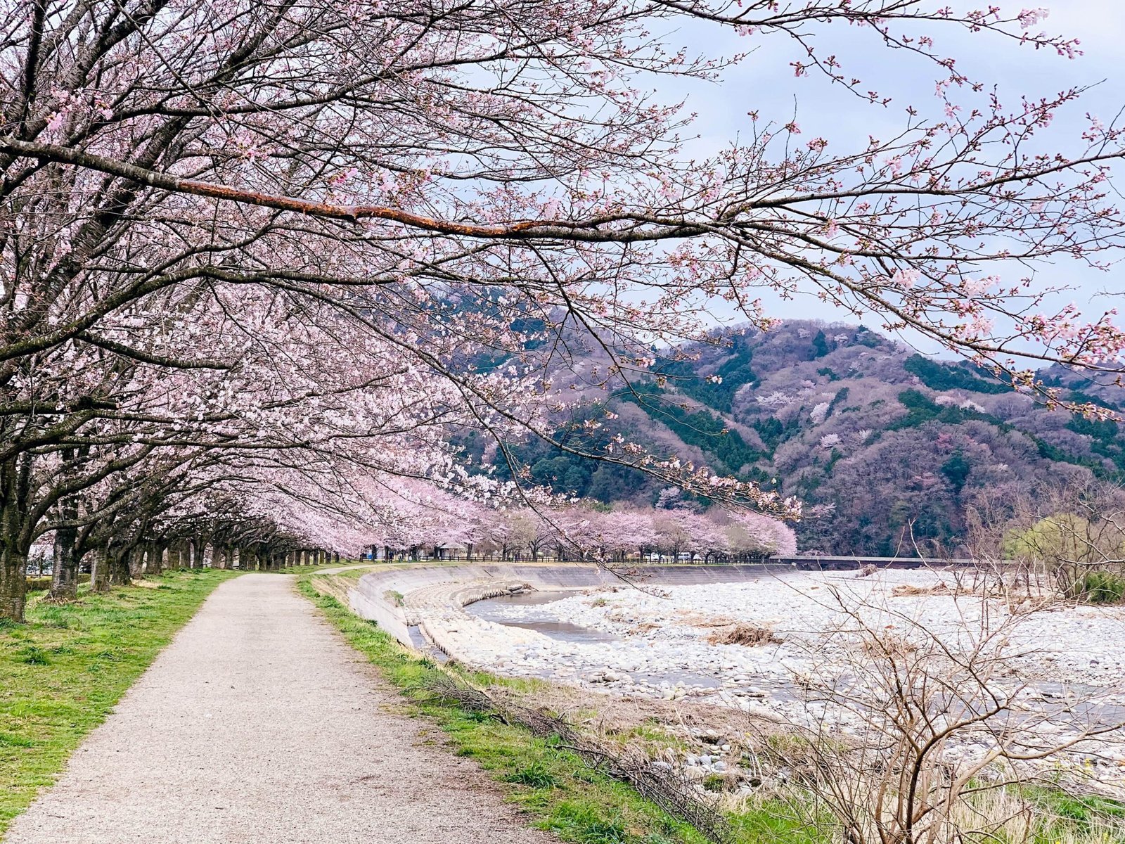 What to Expect Day to Day - Japan Spring Travel Guide for Women