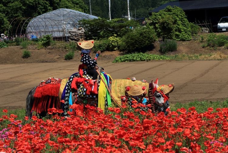 6. Chagu Chagu Umakko Iwate Prefecture 2