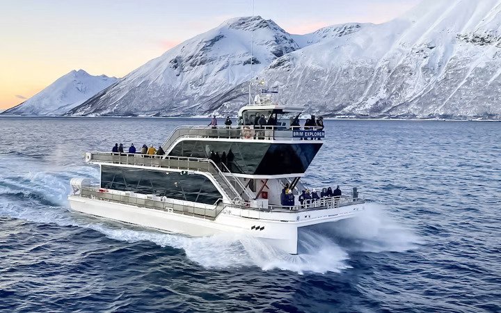 Arctic Wildlife Tours by Boat Activities to Do in Tromso Norway
