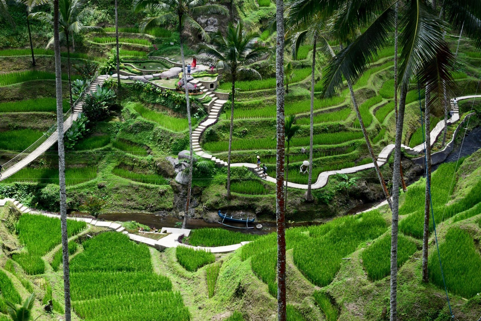 Balis Stunning Rice Terraces scaled 1