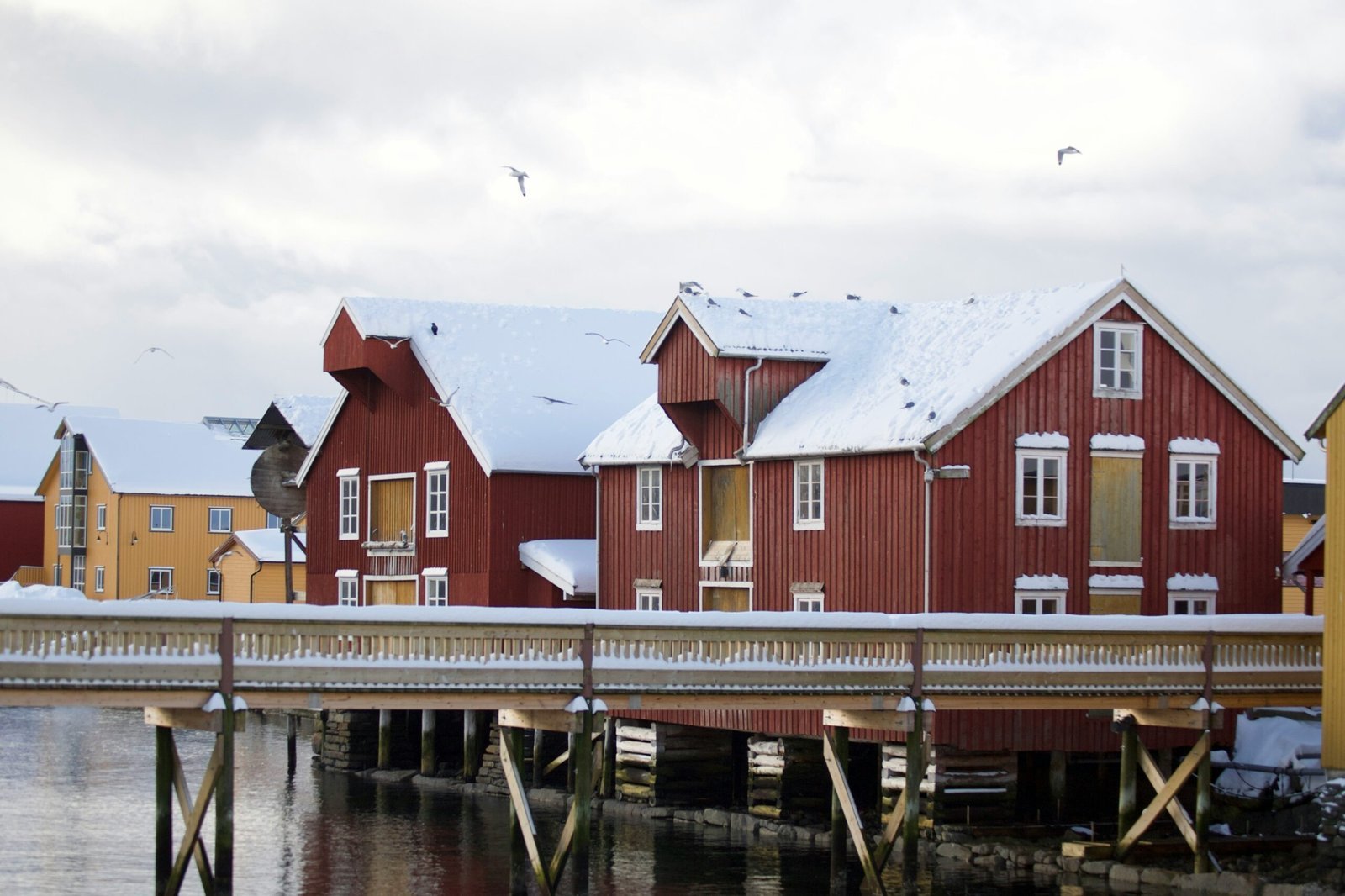 Historic Wooden Houses in Tromso Things to do in Tromso Norway