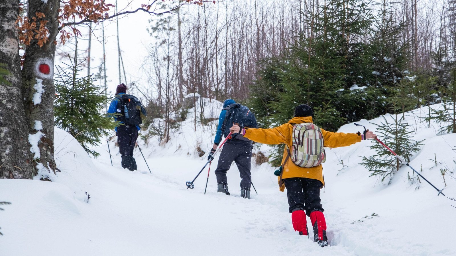 Snowshoeing Cross Country Skiing Activities to Do in Tromso Norway