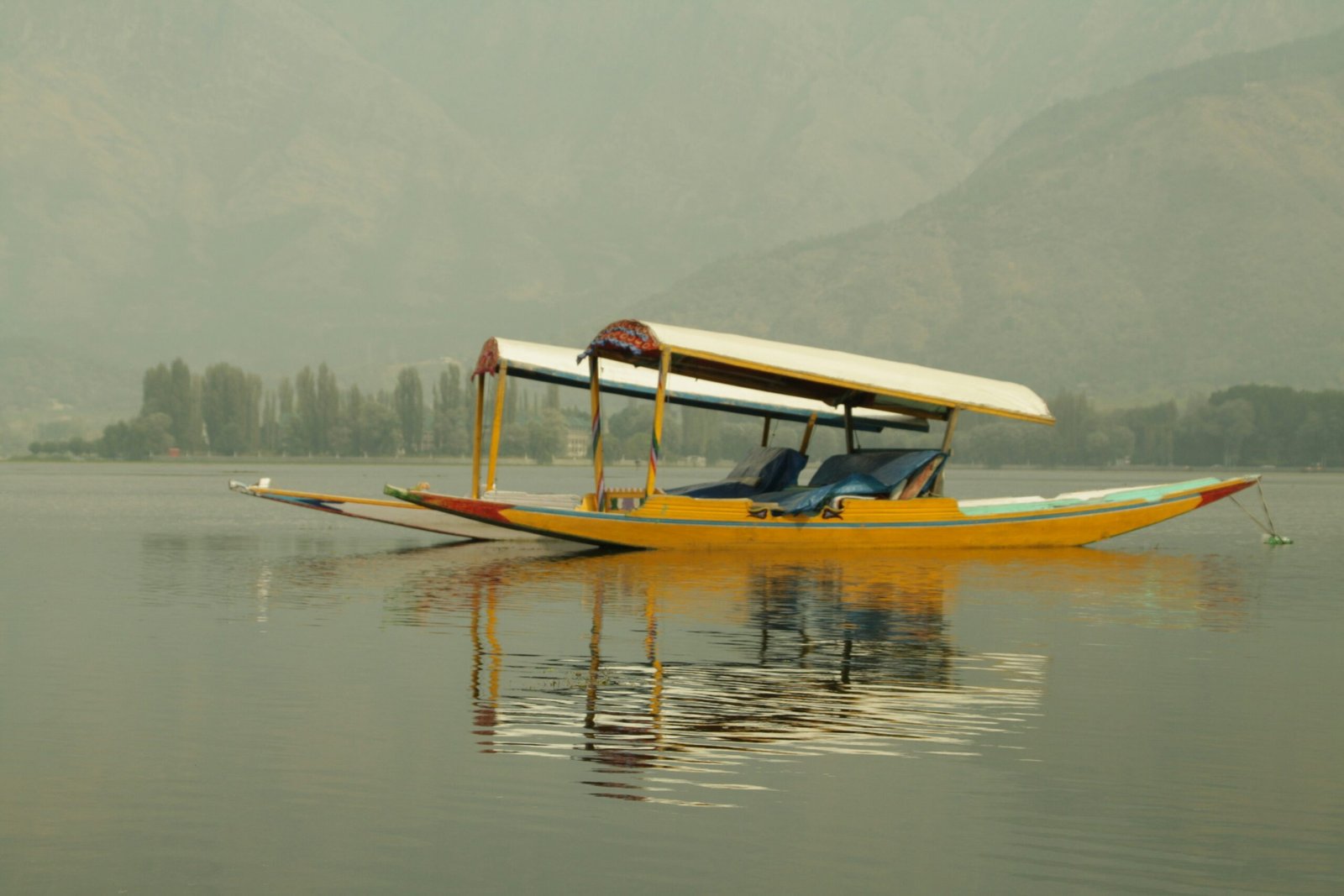 Exploring one of the most peaceful lakes in Srinagar scaled