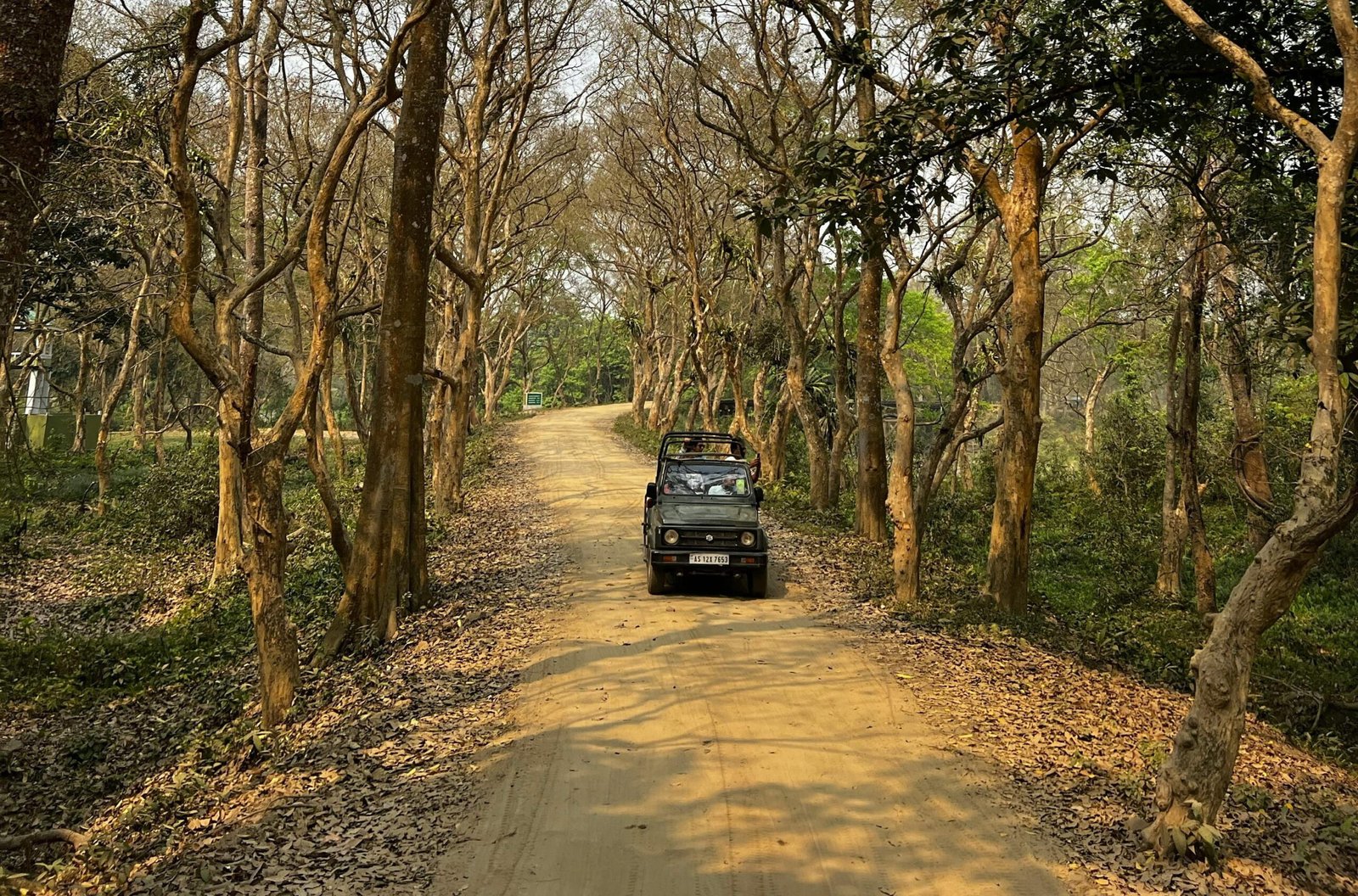 Kaziranga National Park Rhinos | Assam
