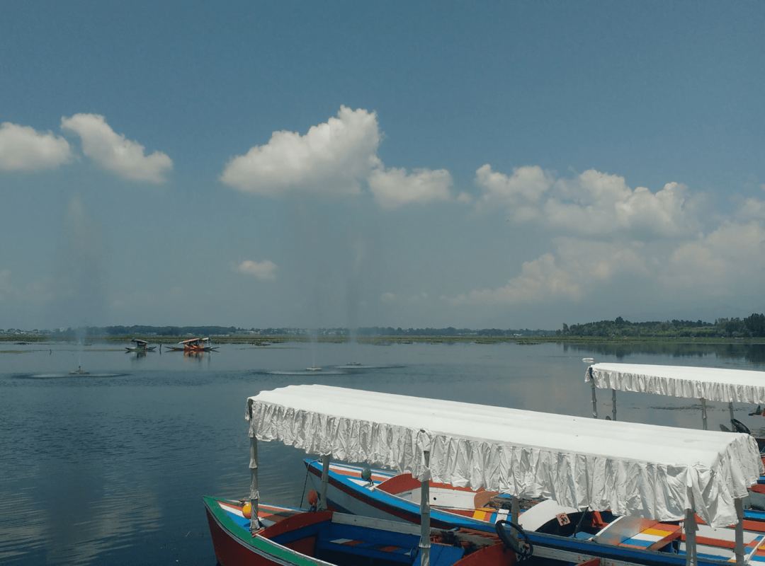 Dal Lake Kashmir