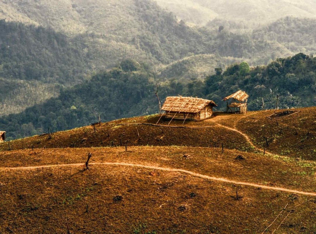 Dzukou Valley