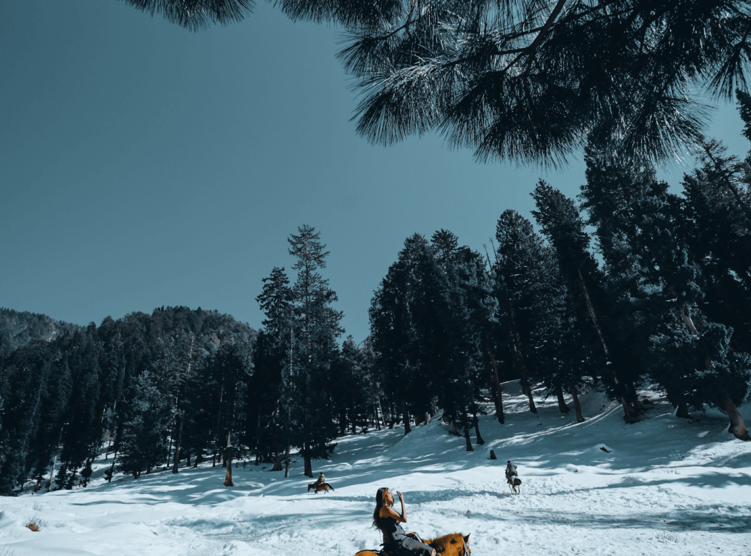 Gulmarg Kashmir India