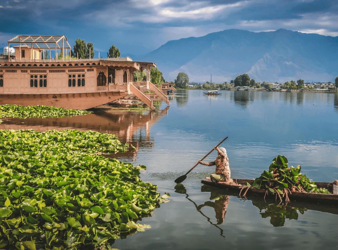 Houseboats in Kashmir Tour