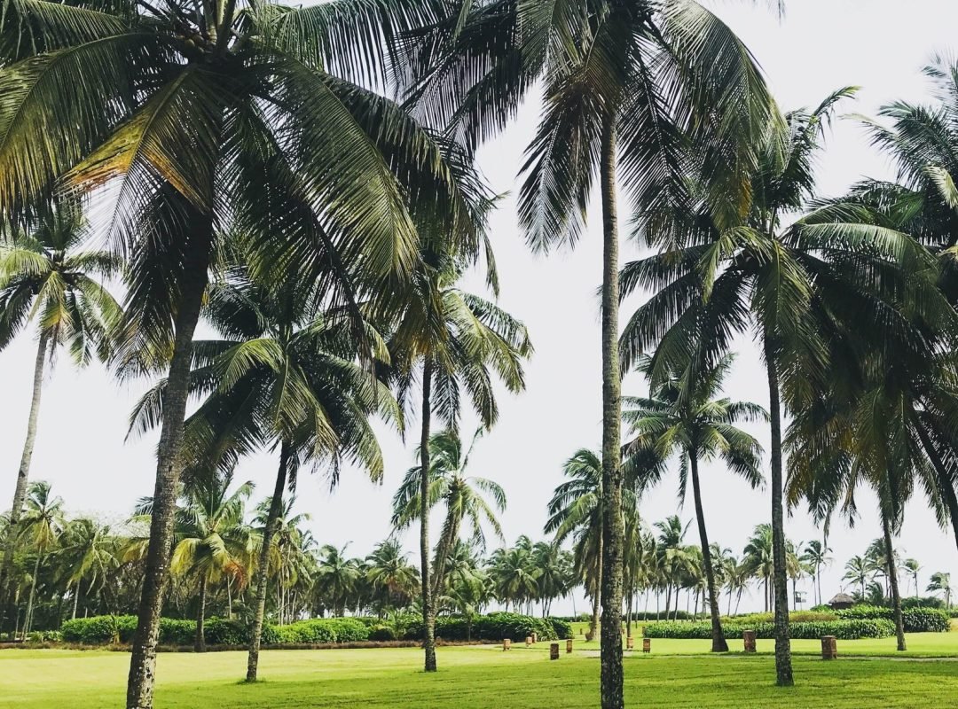 ITC Grand Goa Park