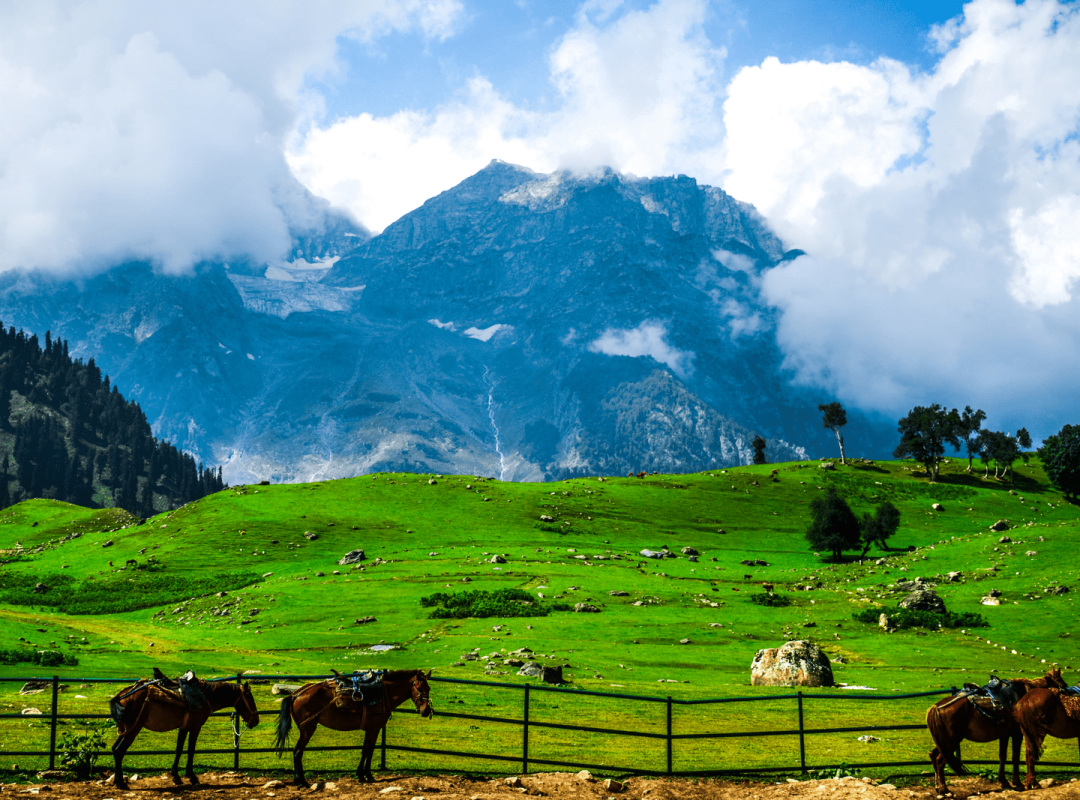 Women Only Kashmir Tour